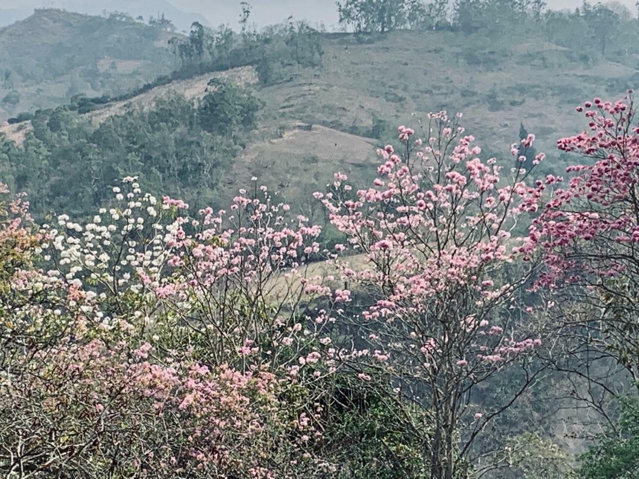 La Trini Villa Choachí Esterno foto