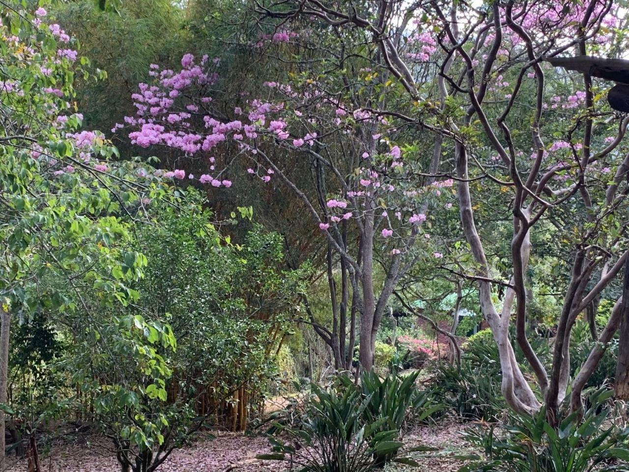 La Trini Villa Choachí Esterno foto